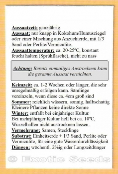 Preview: Physalis pruinosa, 20 Samen